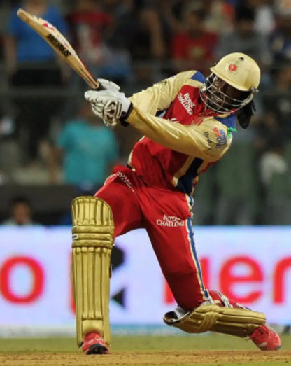 Chris Gayle - 175 not out - RCB vs Pune Warriors 2013