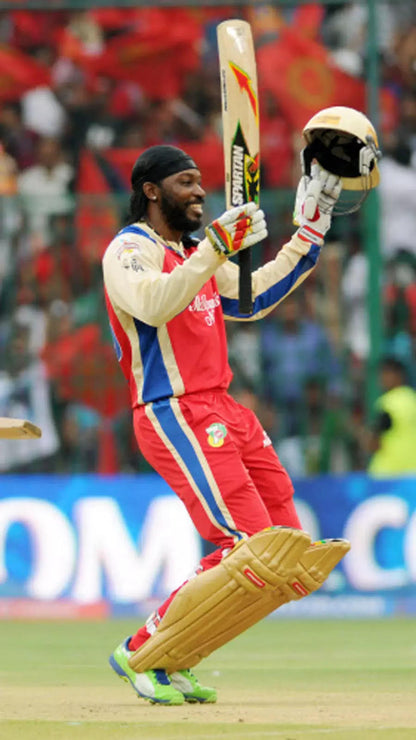 Chris Gayle - 175 not out - RCB vs Pune Warriors 2013